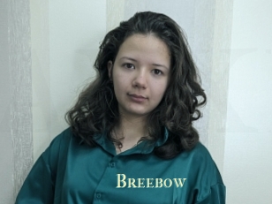 Breebow