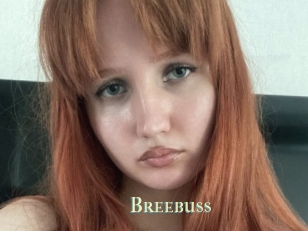 Breebuss