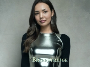 Breeestridge