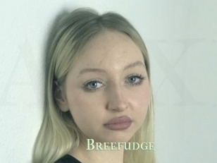 Breefudge