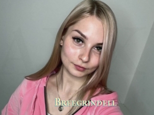 Breegrindell