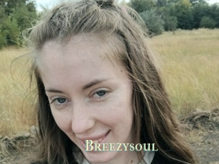 Breezysoul
