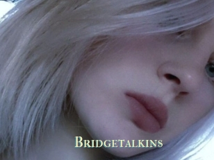 Bridgetalkins