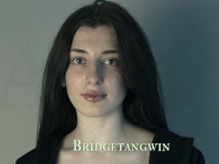 Bridgetangwin