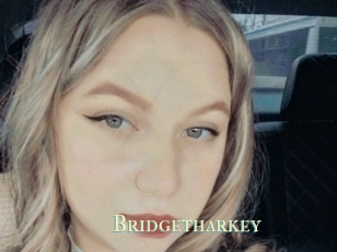 Bridgetharkey
