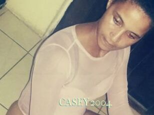 CASEY2004