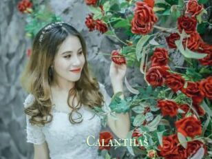 Calanthas
