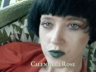 Calendula_Rose