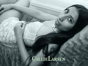 CallieLarsen