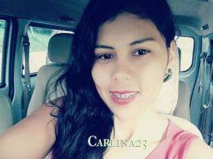 Carlina23