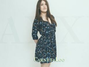 CarnetaLoo