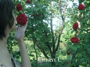 Cheryl_C