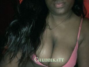 Chubbikatt
