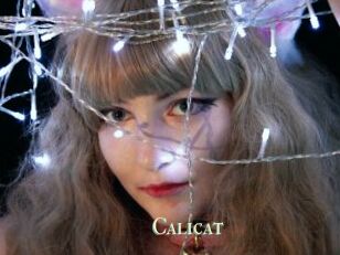 Calicat