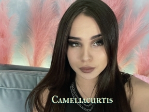 Cameliacurtis
