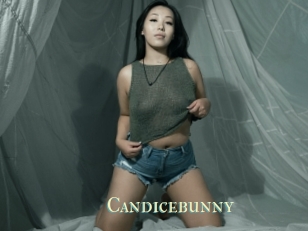Candicebunny