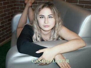 Candieflower
