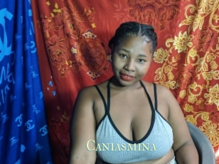 Caniasmina