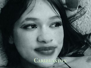 Caribeanfox