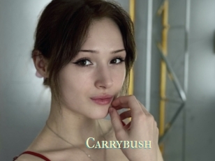 Carrybush