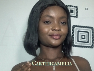 Cartercamelia