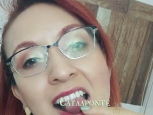 Cataaponte