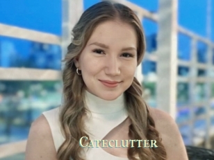 Cateclutter