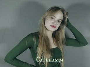 Catehamm
