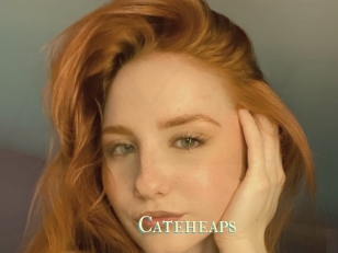 Cateheaps