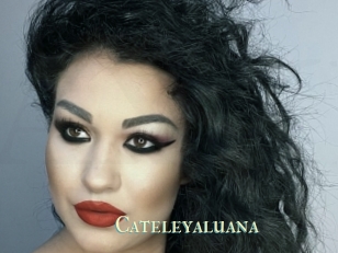 Cateleyaluana