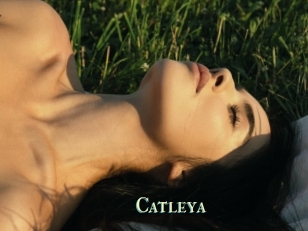 Catleya