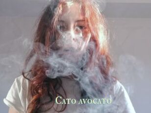 Cato_avocato