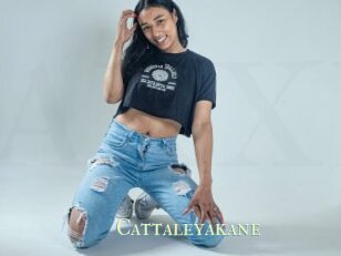 Cattaleyakane