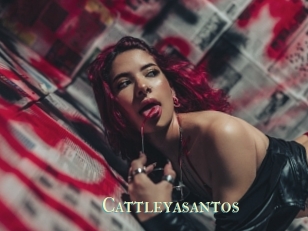 Cattleyasantos