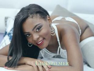 Ciarapalmer