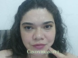 Cindybrandt2