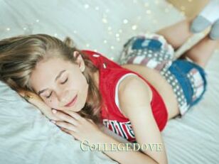 Collegedove