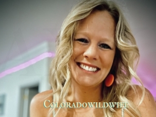 Coloradowildwife