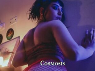 Cosmosis