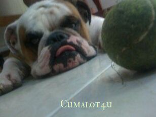 Cumalot4u