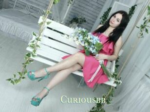 Curiousbb