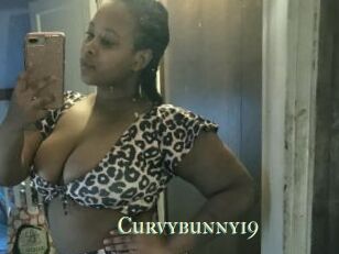Curvybunny19