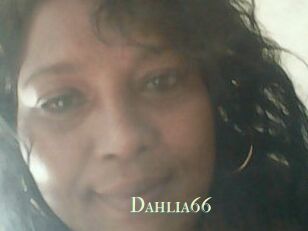 Dahlia66