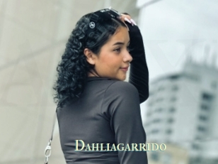 Dahliagarrido