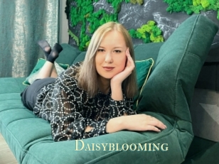 Daisyblooming