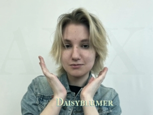 Daisyblumer