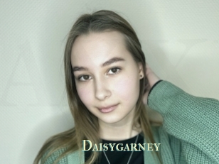 Daisygarney