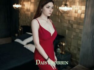 Daisyrobbin