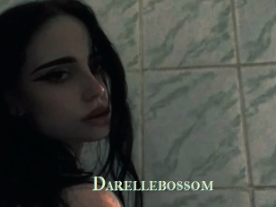 Darellebossom