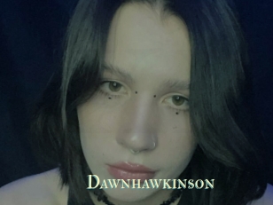 Dawnhawkinson